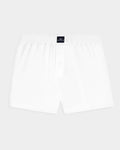Boxer Benjamin